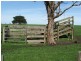 Lot 238, 00 Square Mile Road, Yahl SA 5291