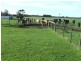 Lot 238, 00 Square Mile Road, Yahl SA 5291