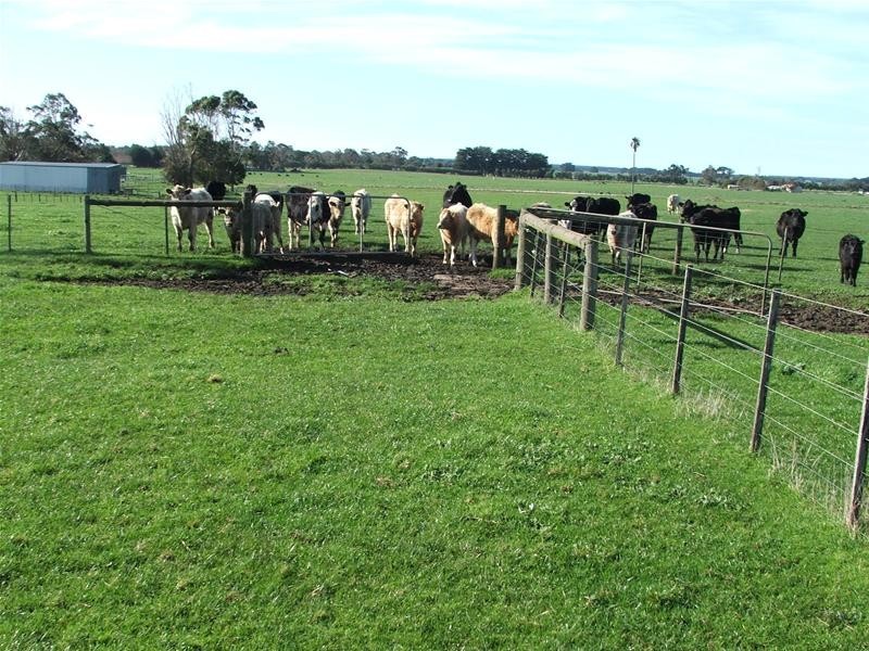 Lot 238 Square Mile Road, Yahl SA 5291