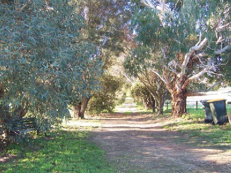 50 Nick Lyon Rd, Suttontown SA 5291