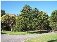 10 Warreanga Road, Caroline SA 5291