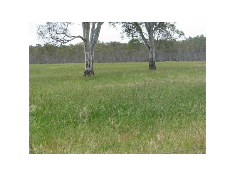 00 WILLIAMS ROAD, Lake Mundi VIC 3312