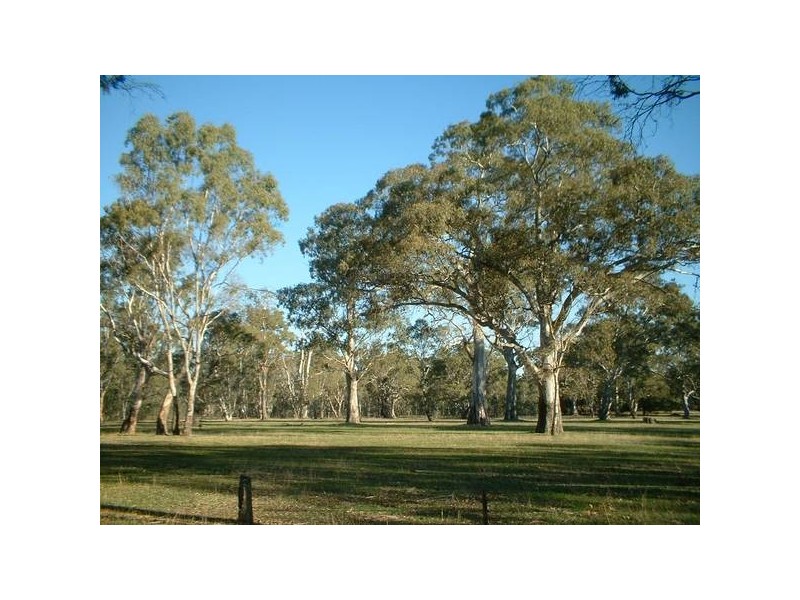 00 WILLIAMS ROAD, Lake Mundi VIC 3312