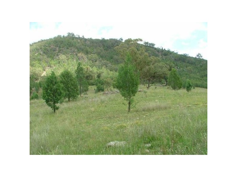 Carroll, Tamworth NSW 2340