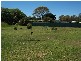 20 Adelaide Rd, Kalangadoo SA 5278
