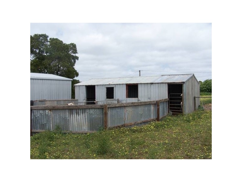 00 Wandilo Rd, Wandilo SA 5291