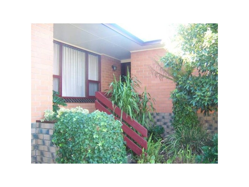 37 TOLMIE STREET, Mount Gambier SA 5290