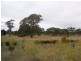102 MILLICENT ROAD, Kalangadoo SA 5278
