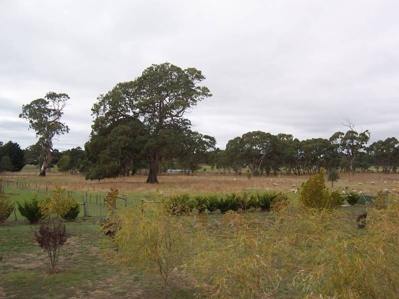 102 MILLICENT ROAD, Kalangadoo SA 5278