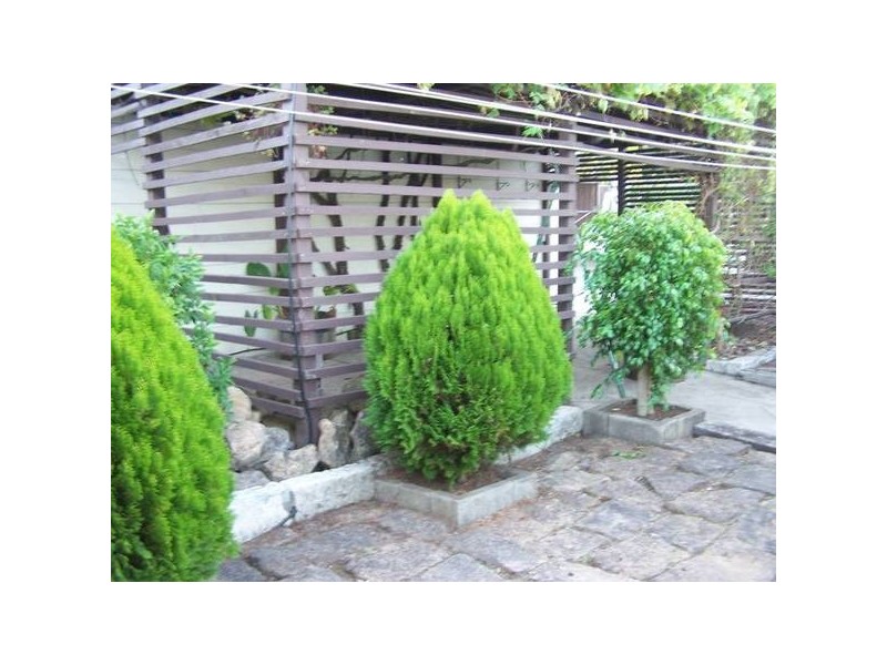 12 MCKENZIE STREET, Mount Gambier SA 5290