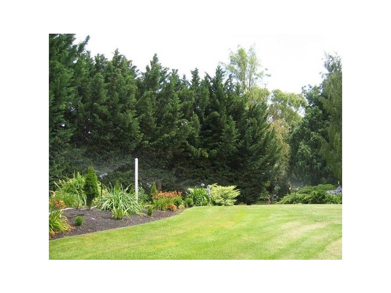 00 CRANE LANE, Mount Gambier SA 5290