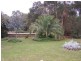 00 WANDILO FOREST ROAD, Mount Gambier SA 5290
