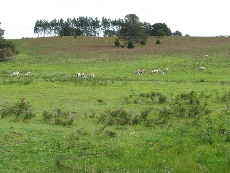 Lot 10/ John Fallas Drive, Mount Gambier SA 5290