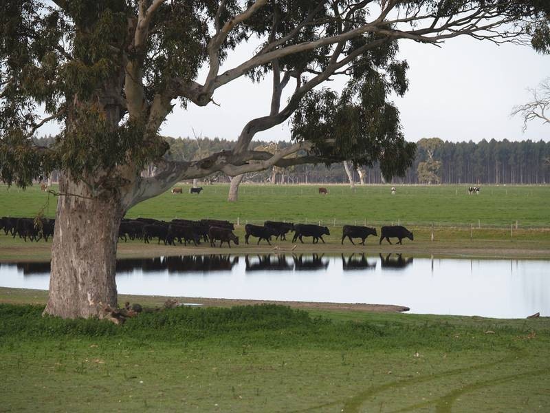 00 KALADBRO ROAD, Strathdownie VIC 3312