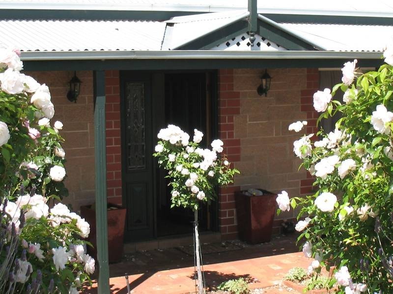 16 TALLAROOK COURT, Mount Gambier SA 5290