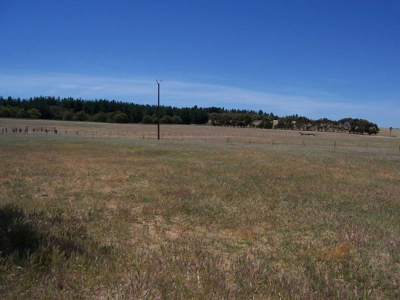 00 Riddoch Highway VIA Straun, Naracoorte SA 5271