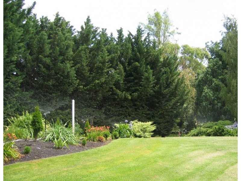 00 CRANE LANE, Mount Gambier SA 5290