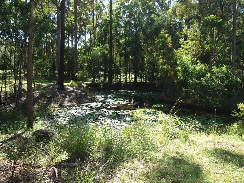 Bonny Hills NSW 2445