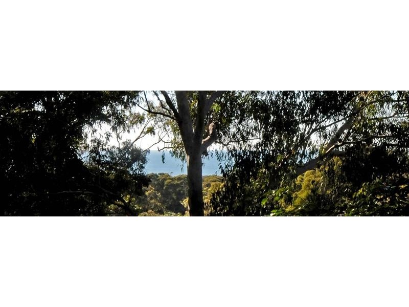 Bonny Hills NSW 2445