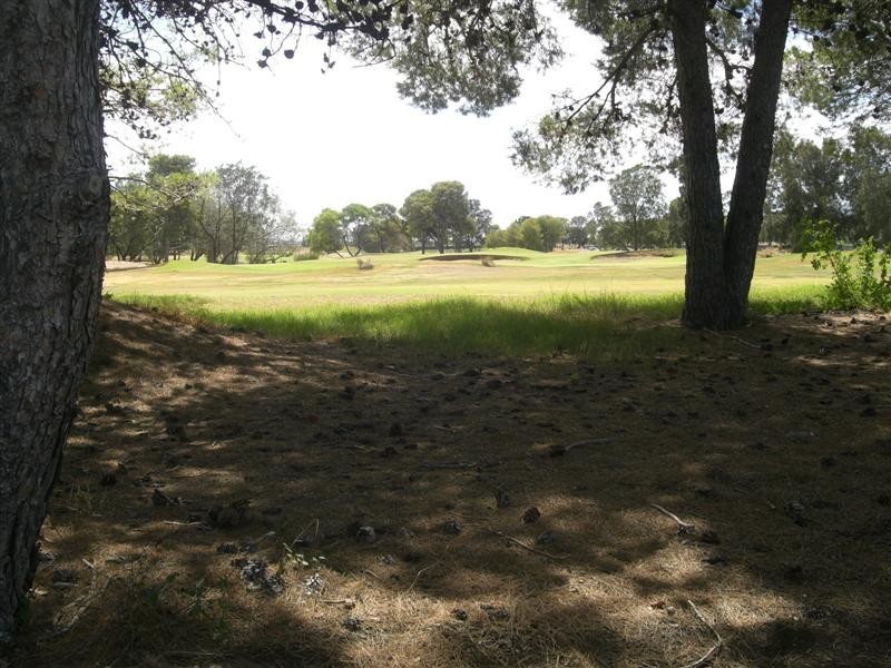 84 Bonython Avenue, Novar Gardens SA 5040