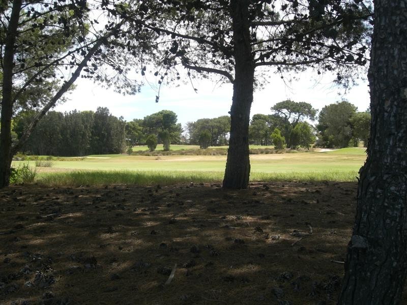 84 Bonython Avenue, Novar Gardens SA 5040