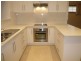 16 McGlasson Ave, Glenelg North SA 5045