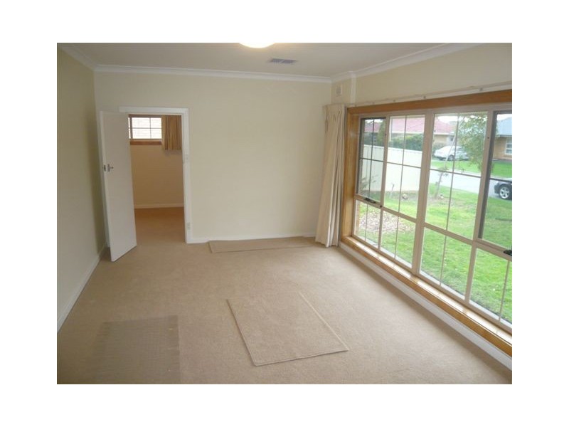 16 McGlasson Ave, Glenelg North SA 5045