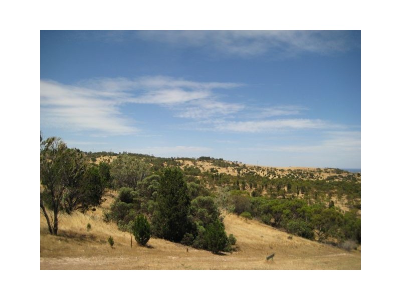 39 Fowler Street, Seaview Downs SA 5049