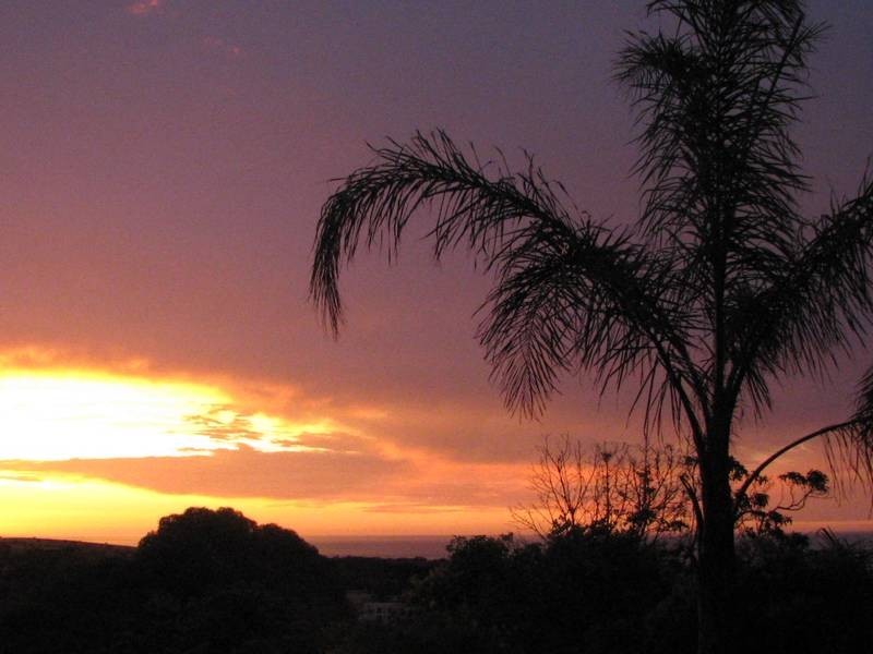 50 Fowler Street, Seaview Downs SA 5049