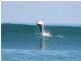 Lot 100,  Trafalgar Street, Port Noarlunga South SA 5167