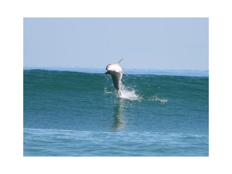 Lot 100,  Trafalgar Street, Port Noarlunga South SA 5167