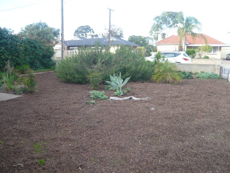 2 Coles Street, Plympton Park SA 5038