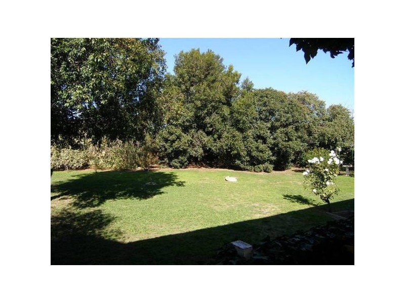 2 Pine Avenue, Warradale SA 5046