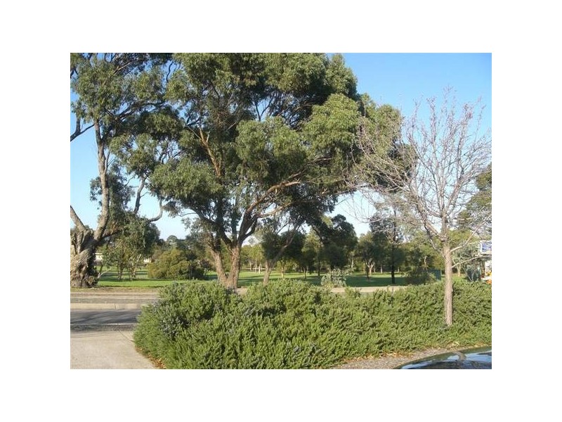 8 Eloise Court, Woodcroft SA 5162