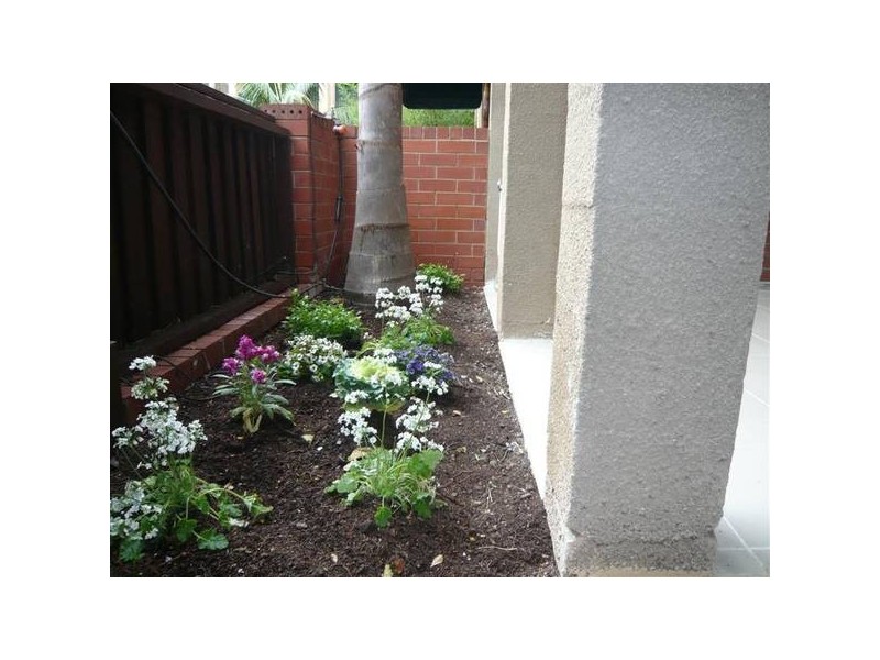 10/197 Anzac Highway, Plympton SA 5038