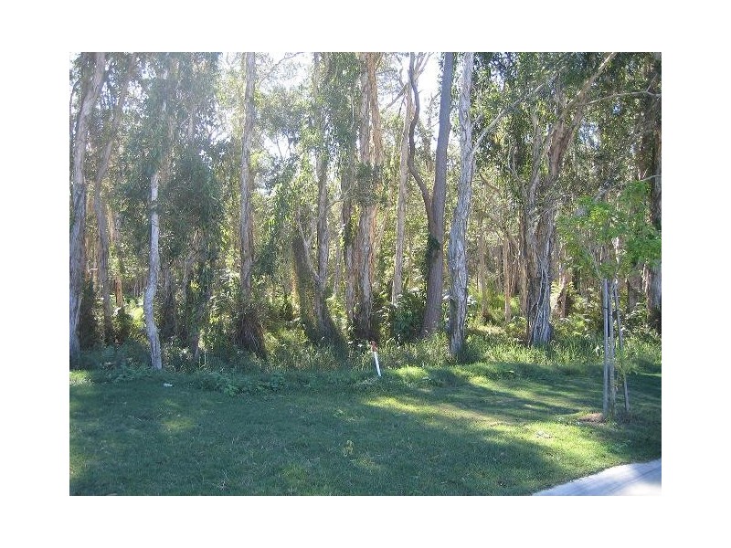 7 Xenia Ct, Coombabah QLD 4216