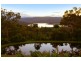 Tallai QLD 4213