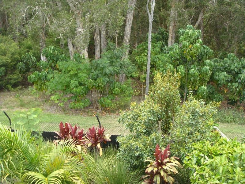 55/181 Lae Drive, Runaway Bay QLD 4216