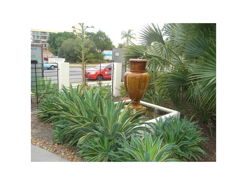 Runaway Bay QLD 4216