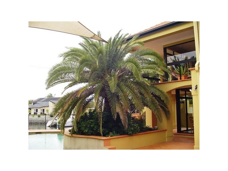 Runaway Bay QLD 4216