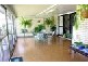 20 O’Grady Drive, Paradise Point QLD 4216