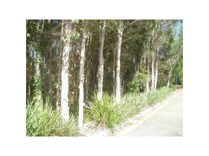 5 Nocturne Lane, Coomera QLD 4209