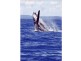 Hervey Bay QLD 4655