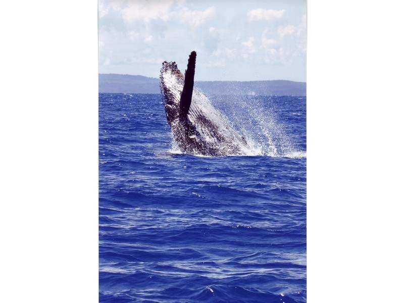 Hervey Bay QLD 4655