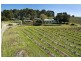 RDS 690 Blewitt Springs Road, Blewitt Springs SA 5171