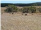 304 Woodcone Road, Mount Compass SA 5210