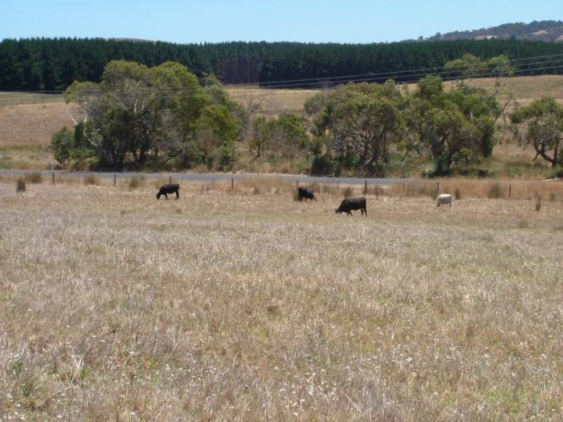 304 Woodcone Road, Mount Compass SA 5210