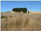 304 Woodcone Road, Mount Compass SA 5210