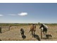 Lot 617 Range Road, Willunga SA 5172