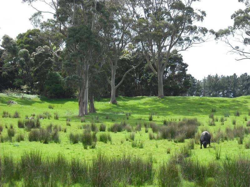 202 Ridges Road, King Island TAS 7256